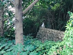 -新江湾城公园