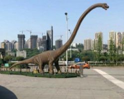 -恐龙探索乐园(磁器口店)