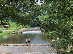 -广州市石门国家森林公园