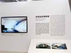 -深圳市当代艺术与城市规划馆
