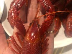 -虎虎龙虾大排档(双井店)
