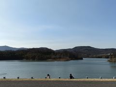 -佛手湖郊野公园