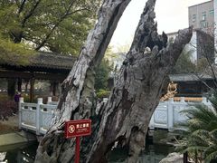 -绳金塔