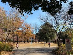 游乐设施-井之头恩赐公园