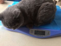 -芭比堂宠物医院·全科爱猫医院·仁德分院