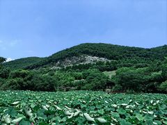 -金钉子远古世界景区