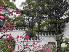 -南山植物园
