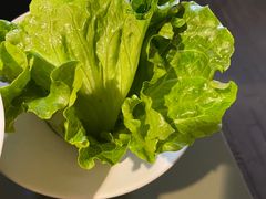 有机生菜-九鼎轩脆毛肚火锅(南京东路店)