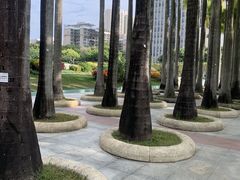 -深圳国际园林花卉博览园