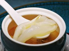 -松云泽
