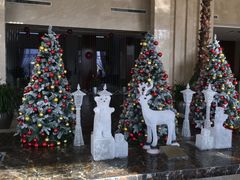 -常州环球恐龙城维景国际大酒店