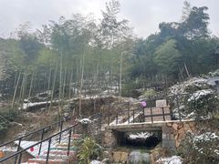 -莫干山风景区