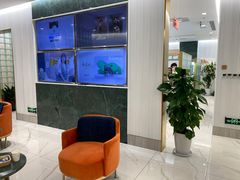 -海马体照相馆(环贸iapm大师爱情店)