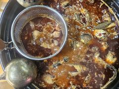 -金海椒罐罐鲢鱼(东方桂苑店)