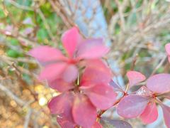 -滨河世纪广场公园