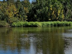 -墨尔本皇家植物园