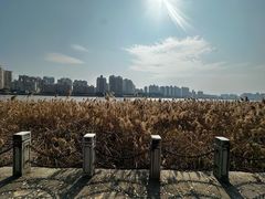 -江心屿景区