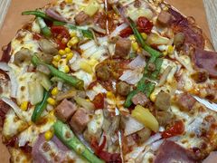 -达美乐比萨(墨玉南路店)