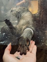 -Zoolung Zoolung动物主题公园(海信广场店)