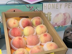 -老袁家蜜桃农场·阳山水蜜桃