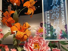-四川大学博物馆