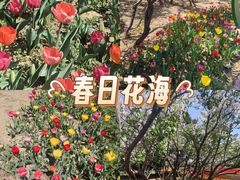 -石家庄市植物园