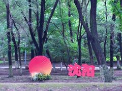 -长白岛森林公园