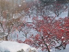 -威海华夏城景区