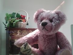 -成都泰迪熊博物馆