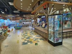 -卡通尼·Safari非洲探索乐园·生日会(金桥国际商业广场店)