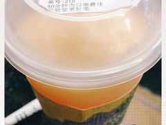 -野萃山·潮汕厚果汁(十亩地店)