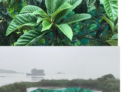 -亮河湾山庄