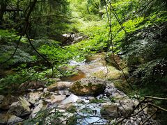 -溪口-滕头旅游景区