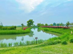 -嘉北郊野公园