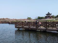 -上海海湾国家森林公园