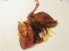 -蝶舍·MAISON PAPILLON