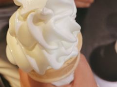 -麦当劳(新洲南路店)