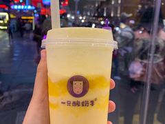 -一只酸奶牛(八一路店)