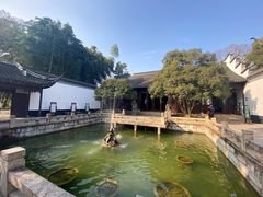 -上海醉白池公园