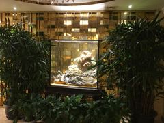 -顺风海鲜港(金玉兰店)