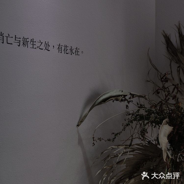 【深圳看展】高级感满满的cbd花展,周末安排,再不去就闭展了