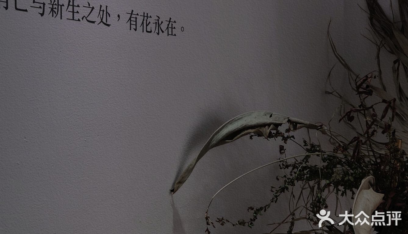 【深圳看展】高级感满满的cbd花展，周末安排，再不去就闭展了