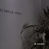 【深圳看展】高级感满满的cbd花展，周末安排，再不去就闭展了