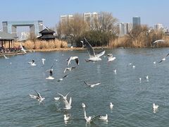 -渤公岛生态公园