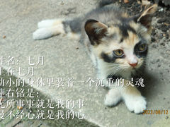 -西园寺