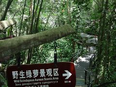 -呀诺达热带雨林