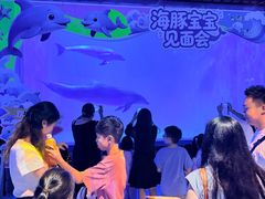 -多彩贵州城极地海洋世界