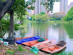 -晓港公园