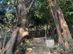 -小南山公园
