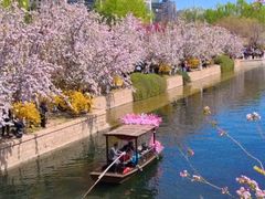 -元大都城垣遗址公园